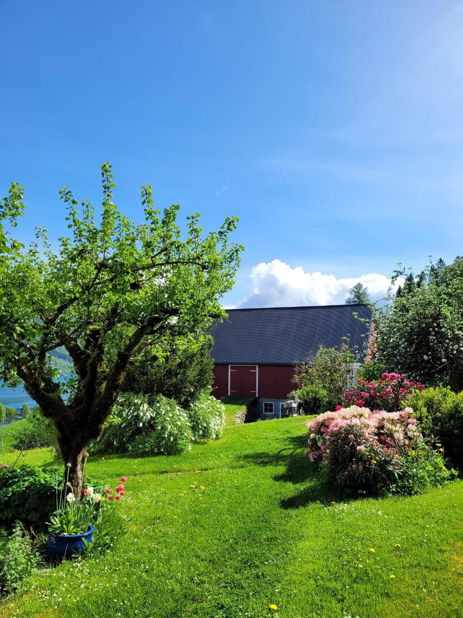 Irenegarden - Panorama Apartment Lauvstad Luaran gambar